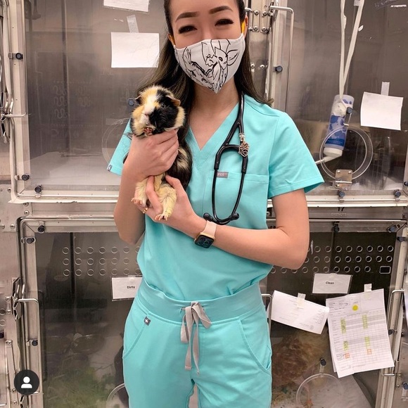 NWT FIGS FRESH AQUA SCRUBS SET CATARINA ZAMORA JOGGERS SMALL LIMITED ED - Picture 5 of 14